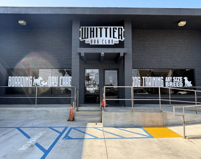 Window and Wall Graphics Photo